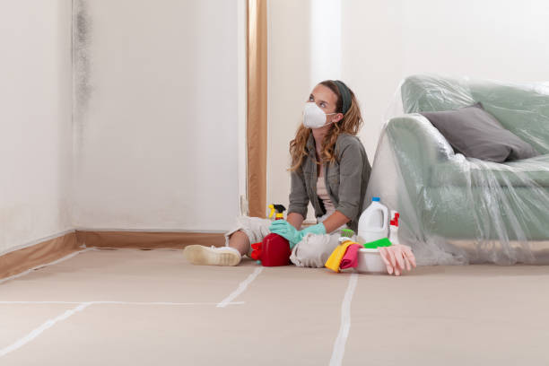 Reliable Mold Testing contractor in Brandy Station, VA by WQB Mold Removal